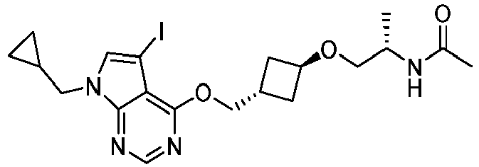 Figure imgb0556
