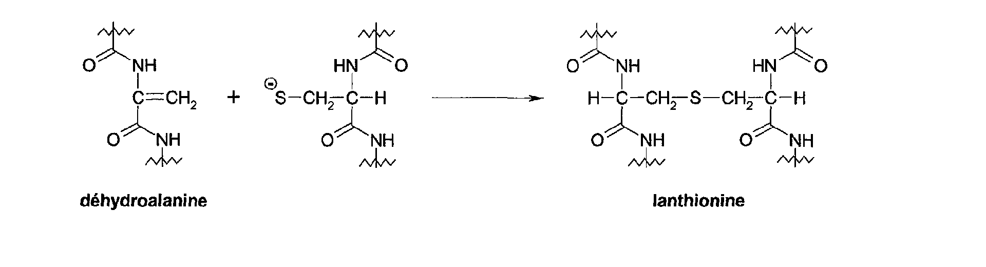Figure 00020002