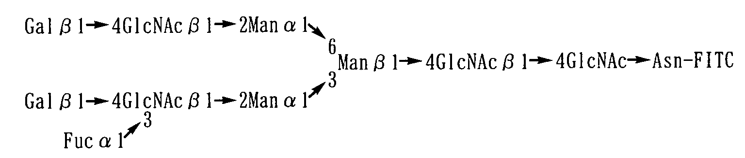 Figure 01010004