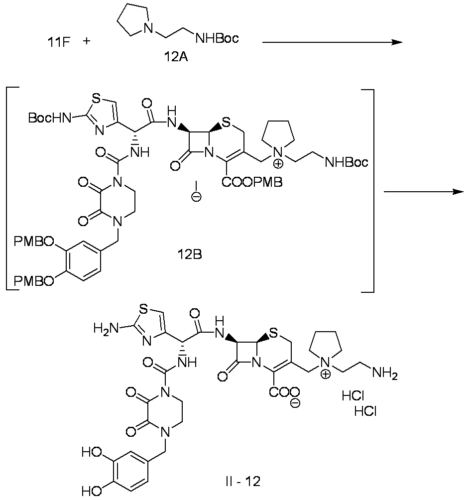 Figure JPOXMLDOC01-appb-C000082