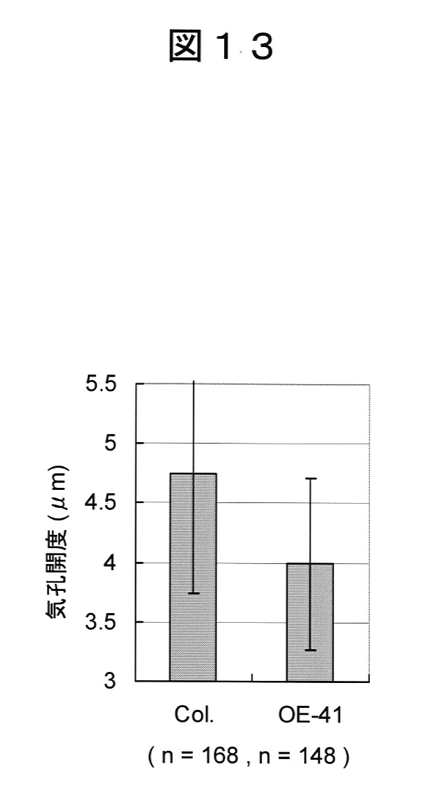 Woa1 アブシジン酸輸送タンパク質を過剰発現する植物及びその作出方法 Google Patents Woa1 アブシジン酸輸送タンパク質を過剰発現する植物及びその作出方法 Google Patents