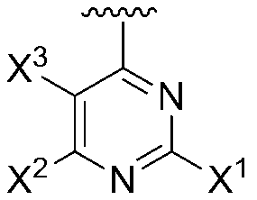 Figure JPOXMLDOC01-appb-C000021