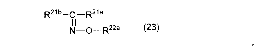 Figure JPOXMLDOC01-appb-C000076