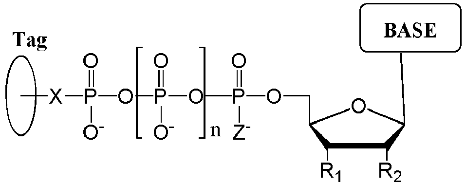 Figure imgb0109