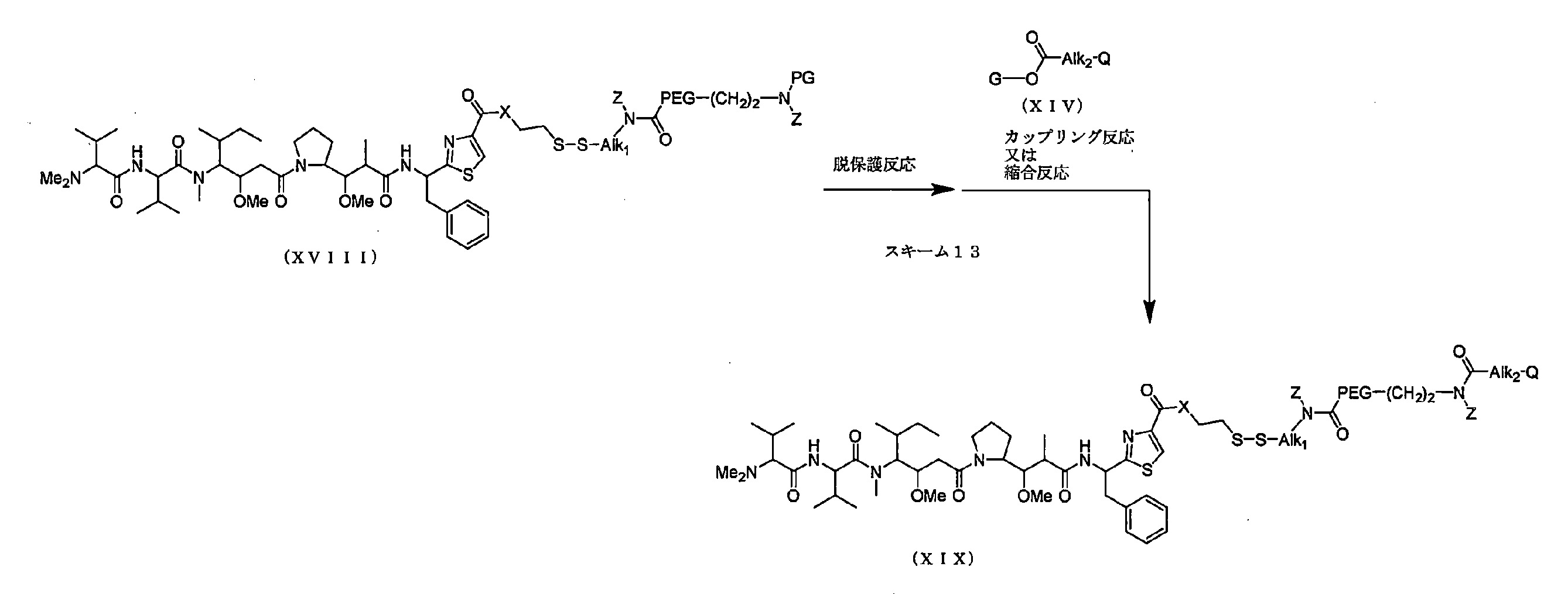 Figure JPOXMLDOC01-appb-C000020