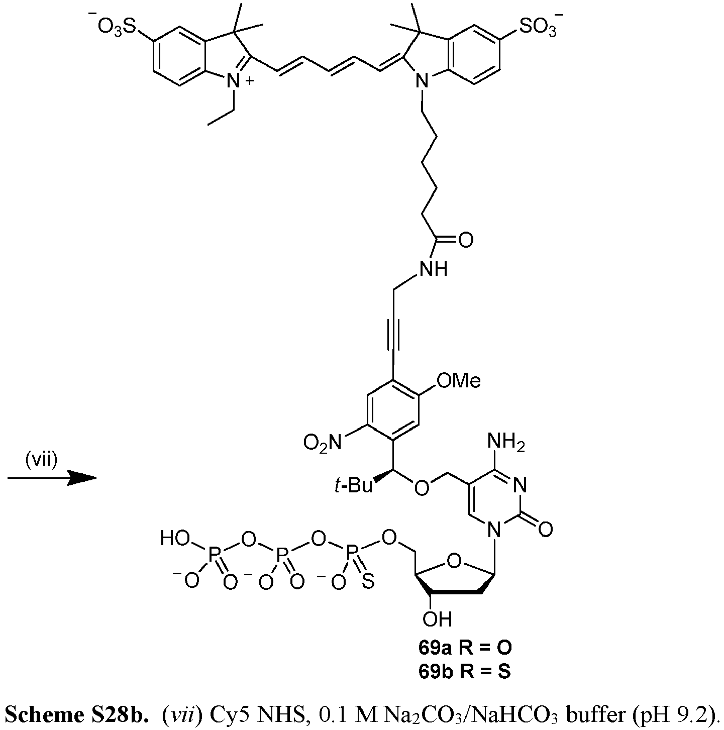 Figure imgb0114