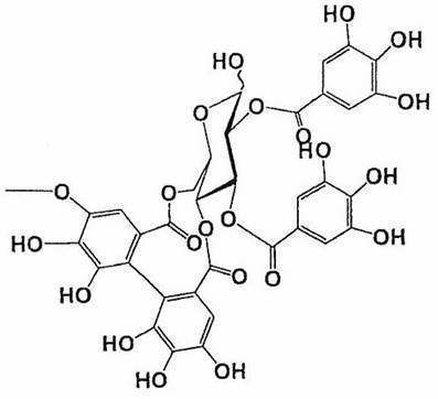 Figure JPOXMLDOC01-appb-C000032
