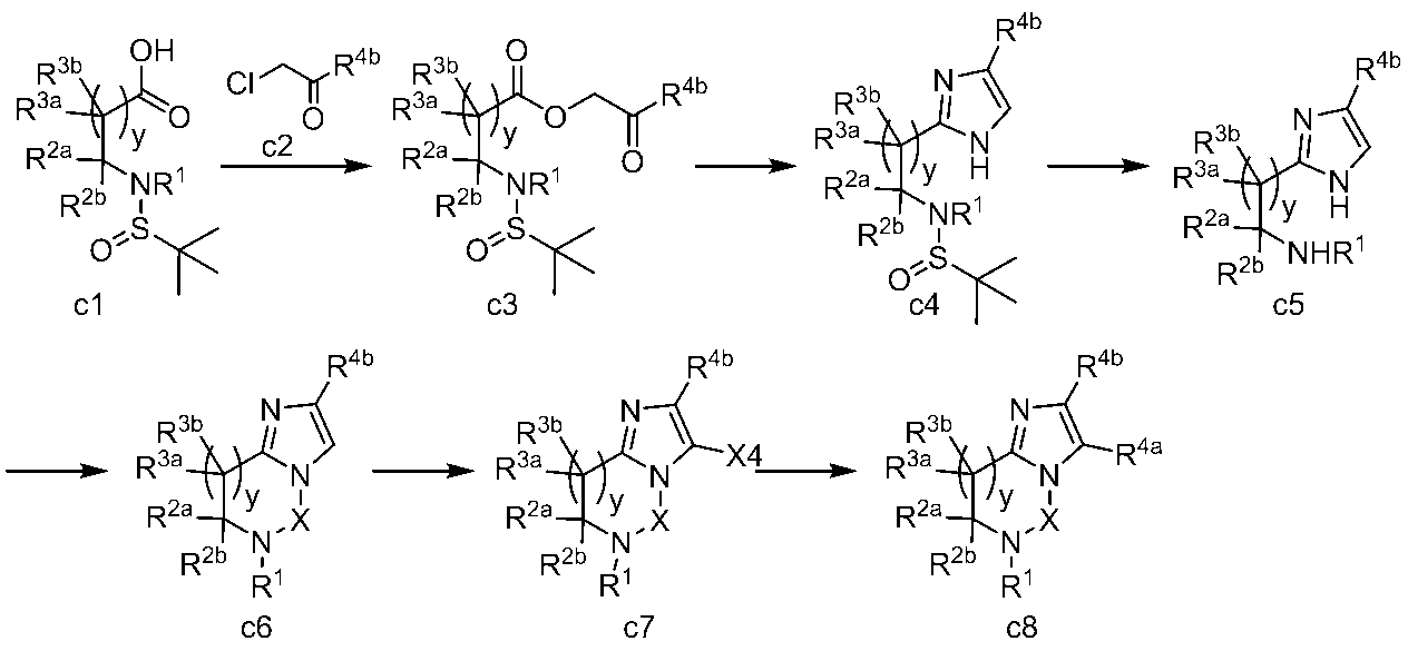 Figure JPOXMLDOC01-appb-C000066