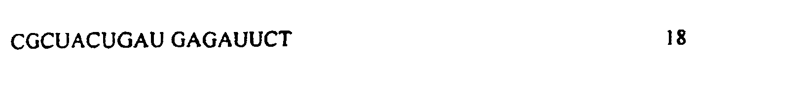 Figure 00330002