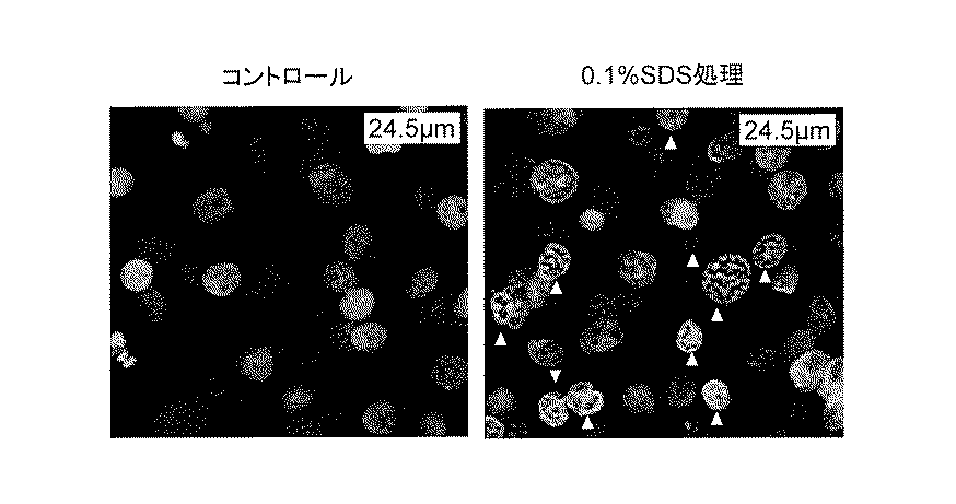 Figure 2017184659