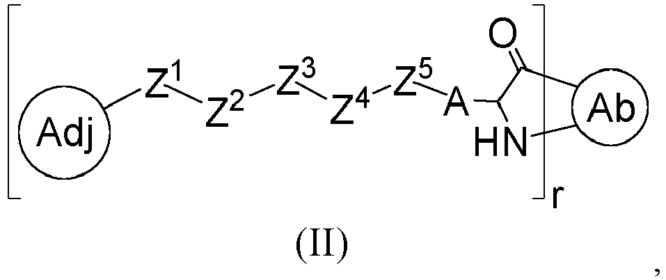 Figure imgb0196