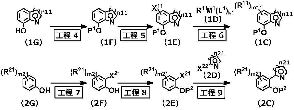 Figure JPOXMLDOC01-appb-C000020