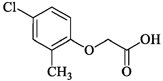 Figure imgb0019
