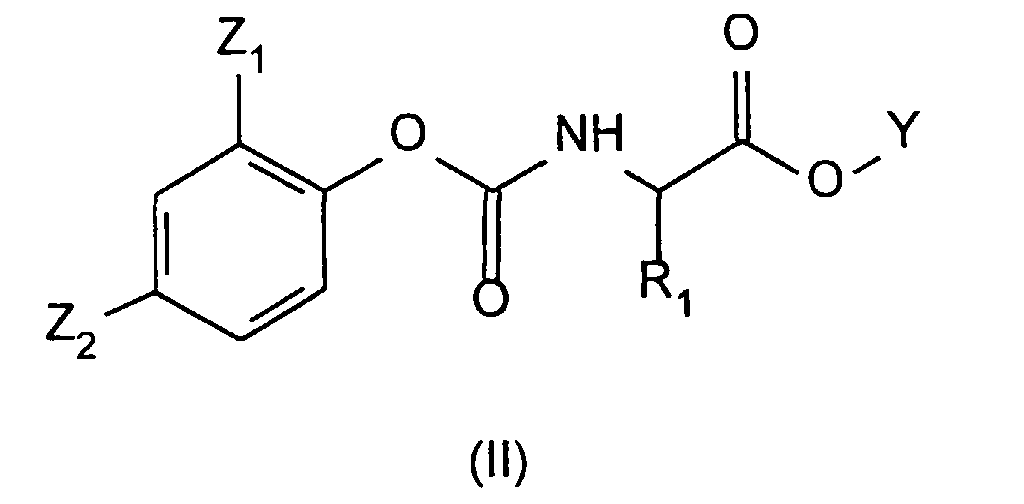Figure 00070001