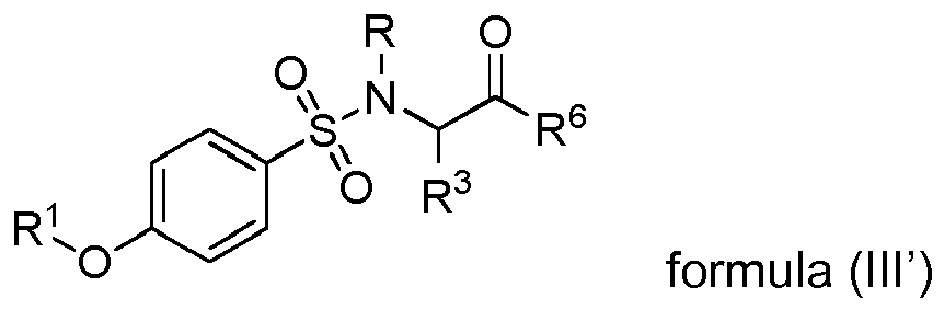 Figure imgb0163