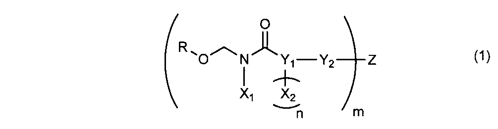Figure JPOXMLDOC01-appb-C000013