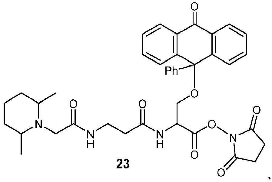 Figure imgb0006