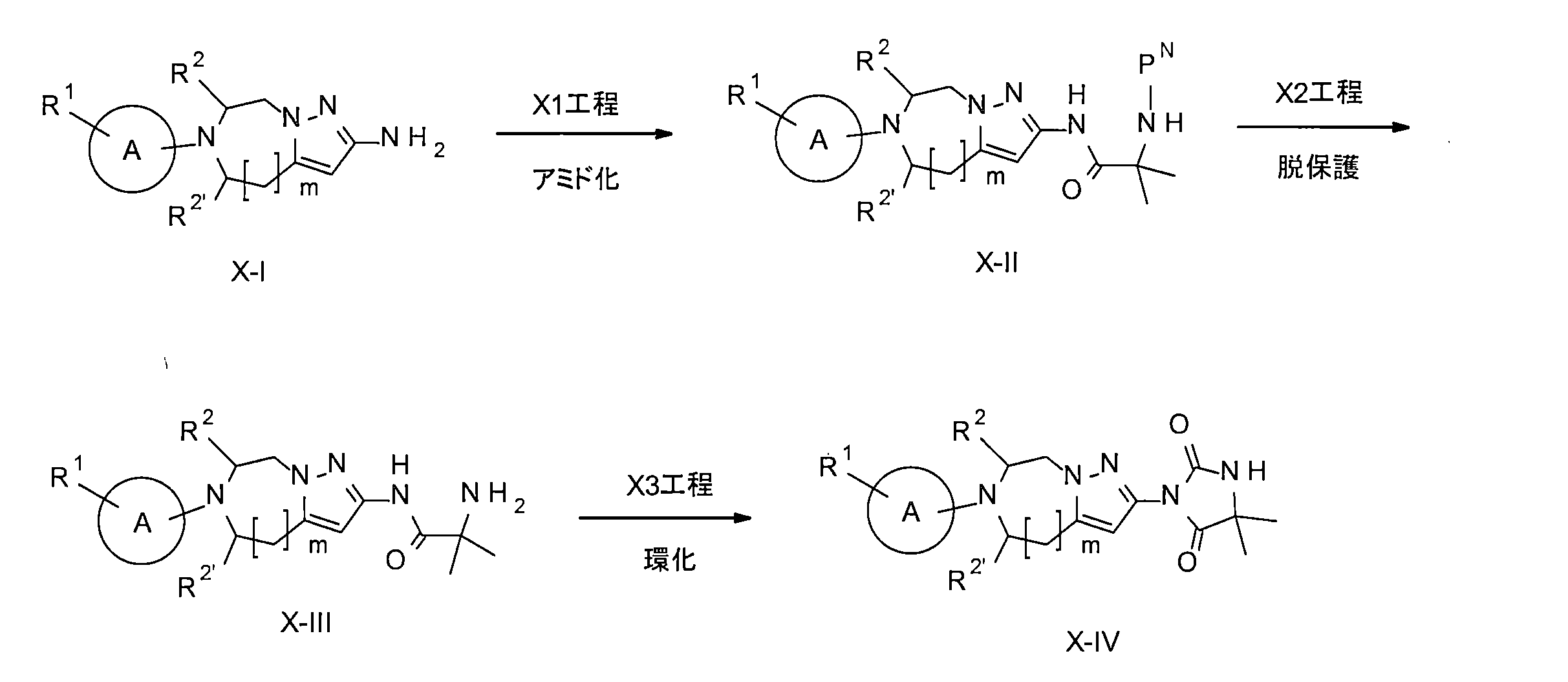 Figure JPOXMLDOC01-appb-C000051