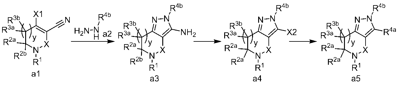 Figure JPOXMLDOC01-appb-C000063