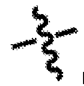 Figure imgf000053_0002