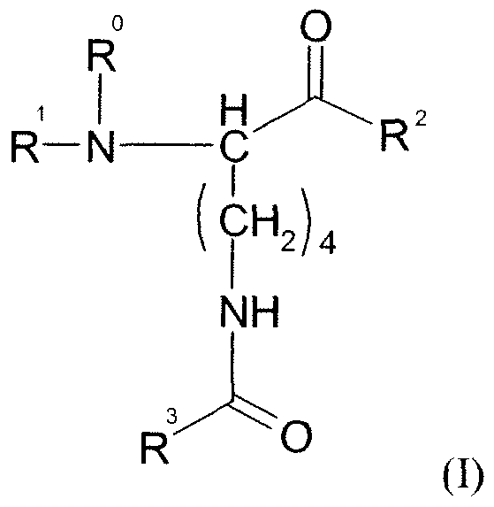 Figure imgf000006_0001