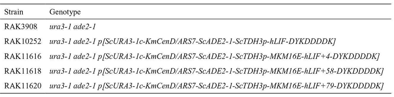Figure JPOXMLDOC01-appb-T000006