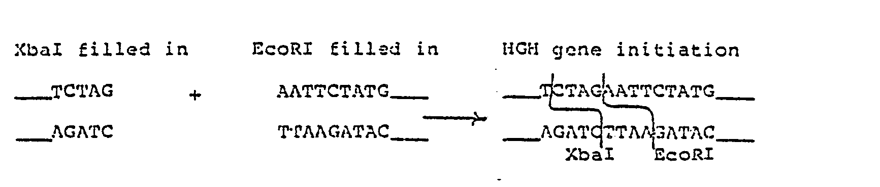 Figure imgb0007