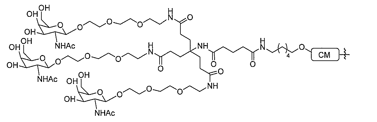 Figure 2022017514000383