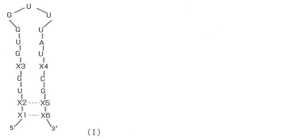 Figure JPOXMLDOC01-appb-C000002