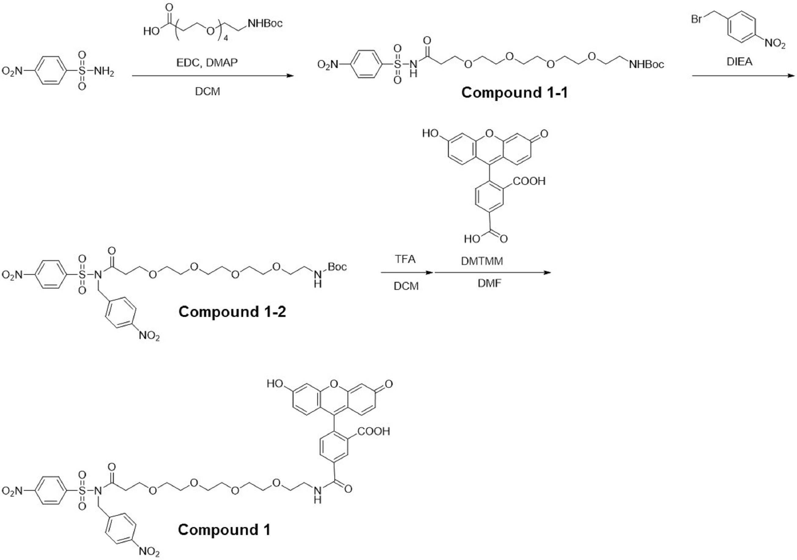 Figure JPOXMLDOC01-appb-C000116