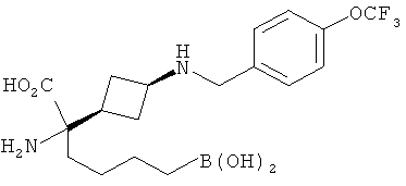 Figure 00000229