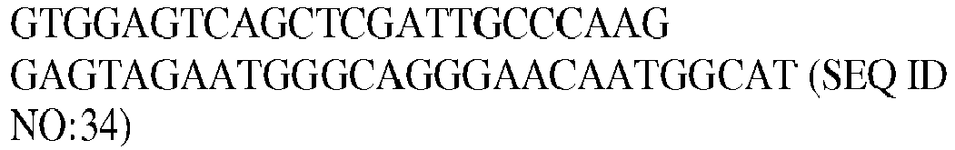 Figure imgb0023