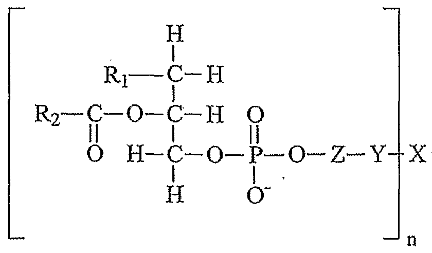Figure imgf000007_0002