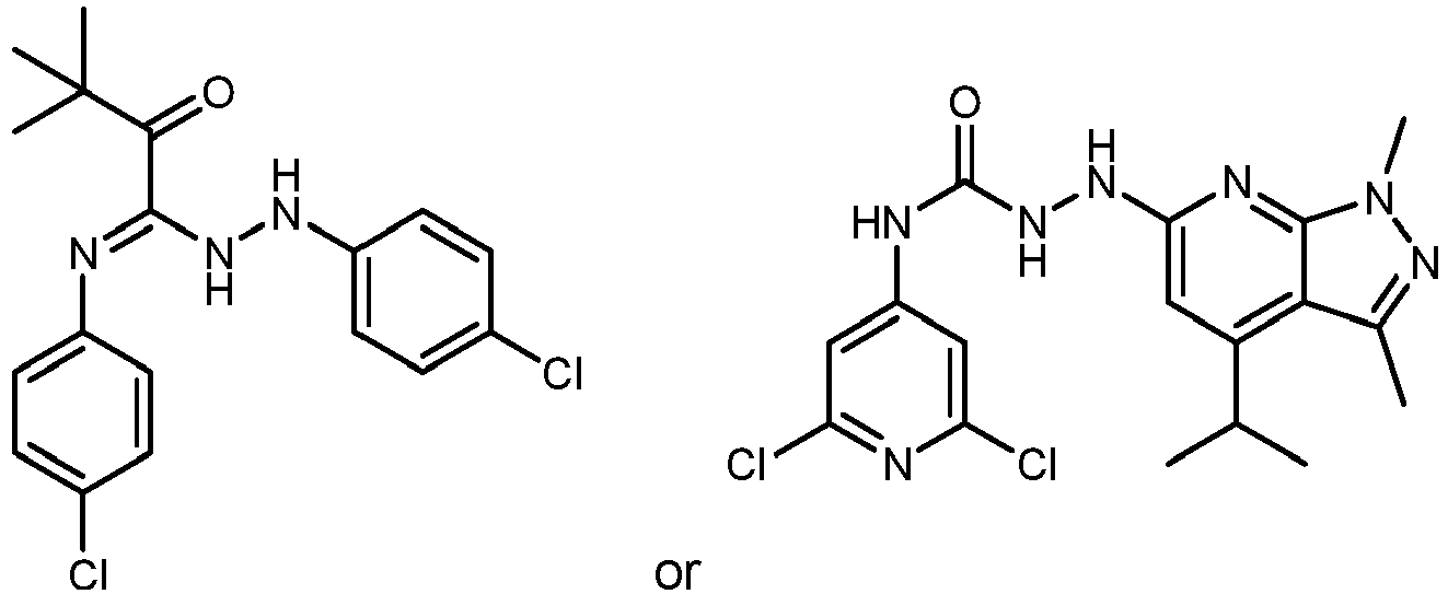 Figure imgb0023