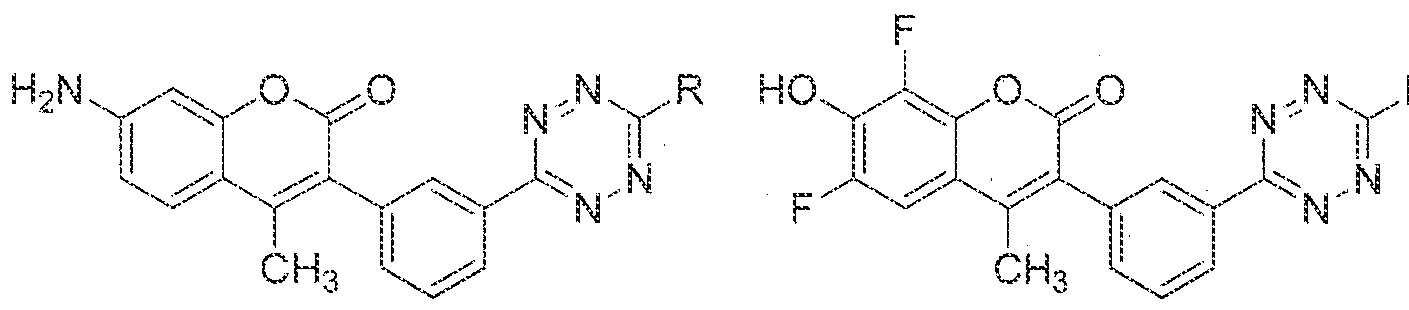 Figure imgf000037_0002
