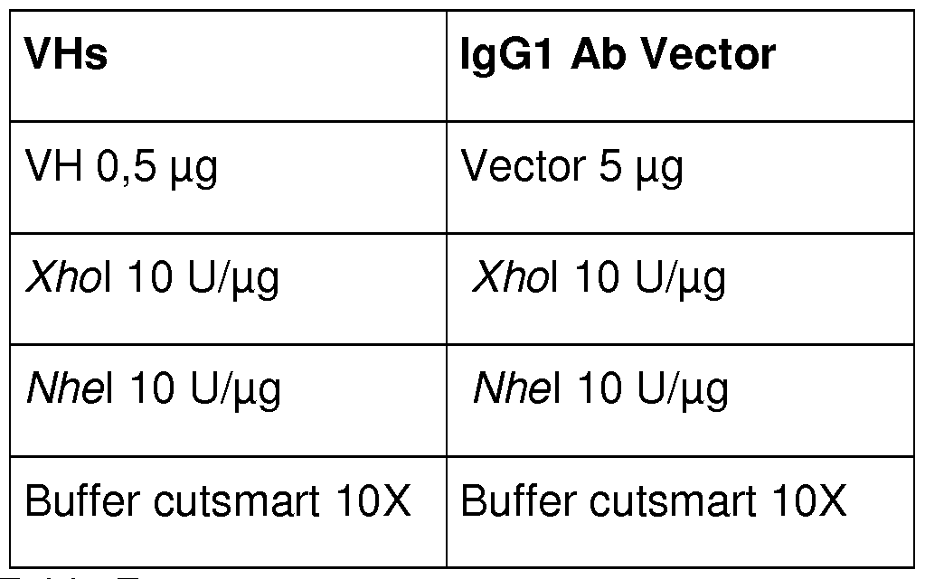 Figure imgf000053_0001