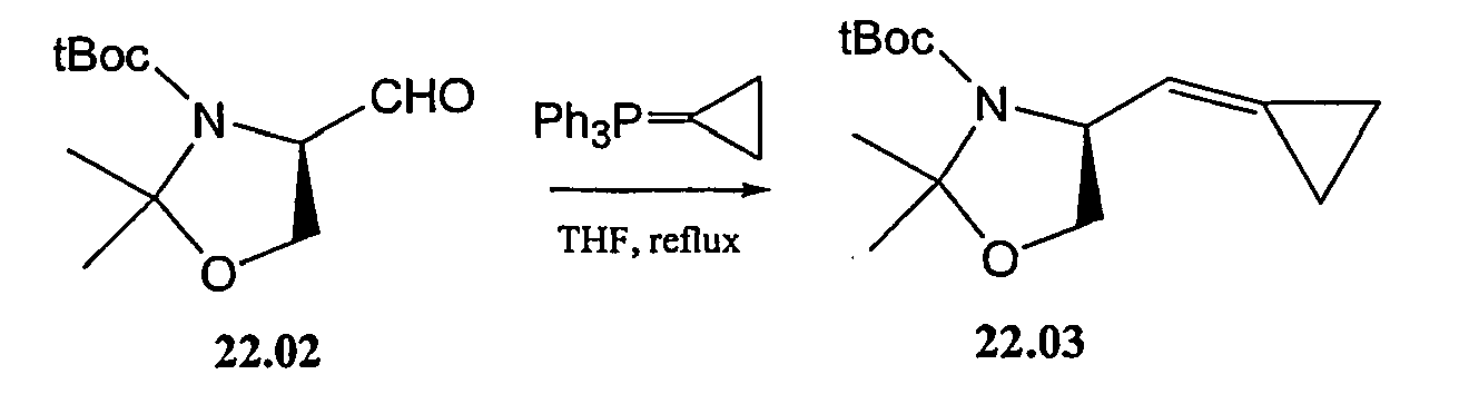 Figure imgb0205