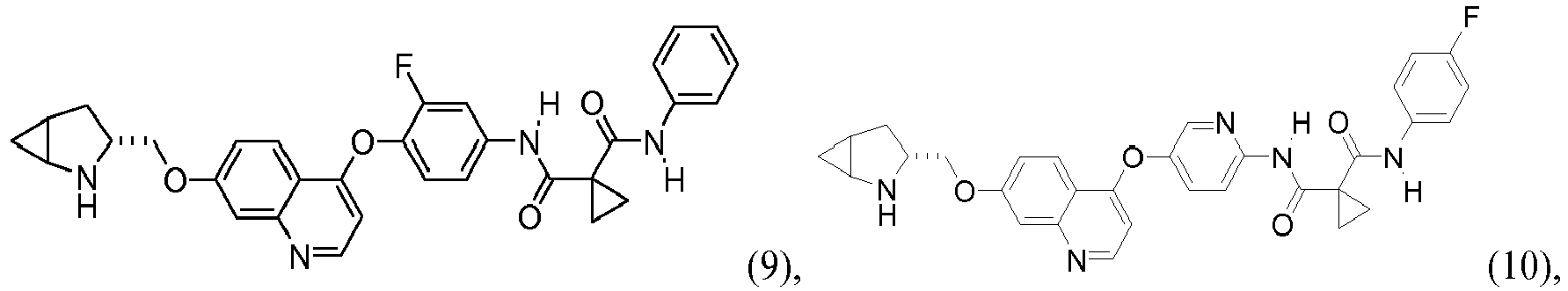 Figure imgb0048