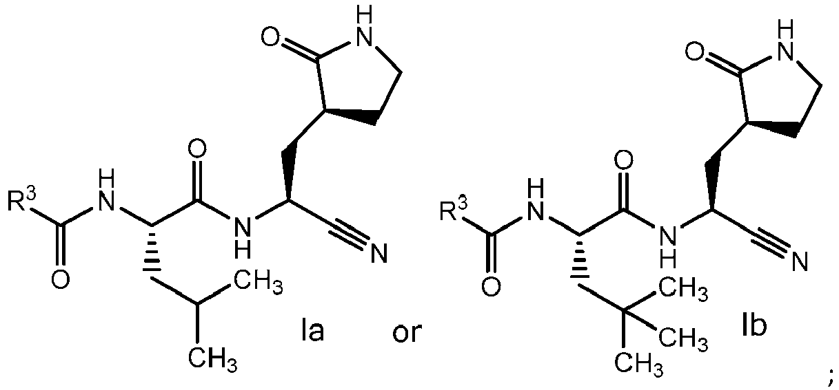 Figure imgb0010