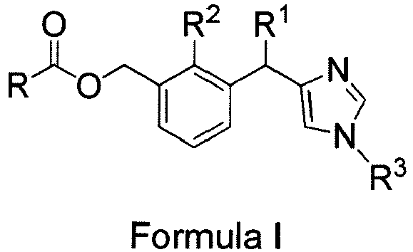Figure imgb0004