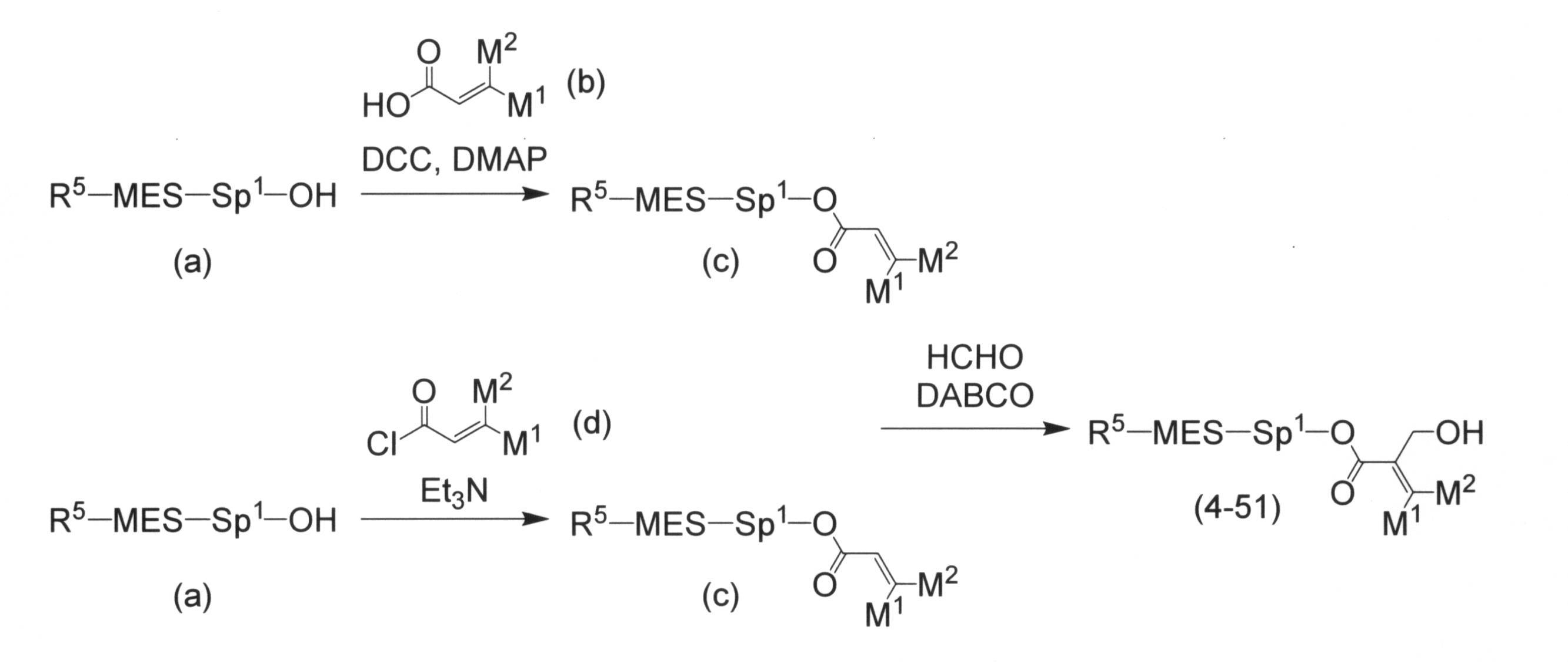 Figure JPOXMLDOC01-appb-C000039