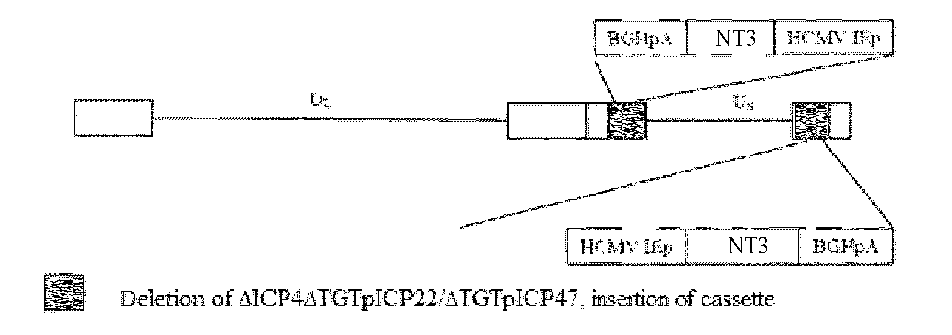 Figure imgb0001