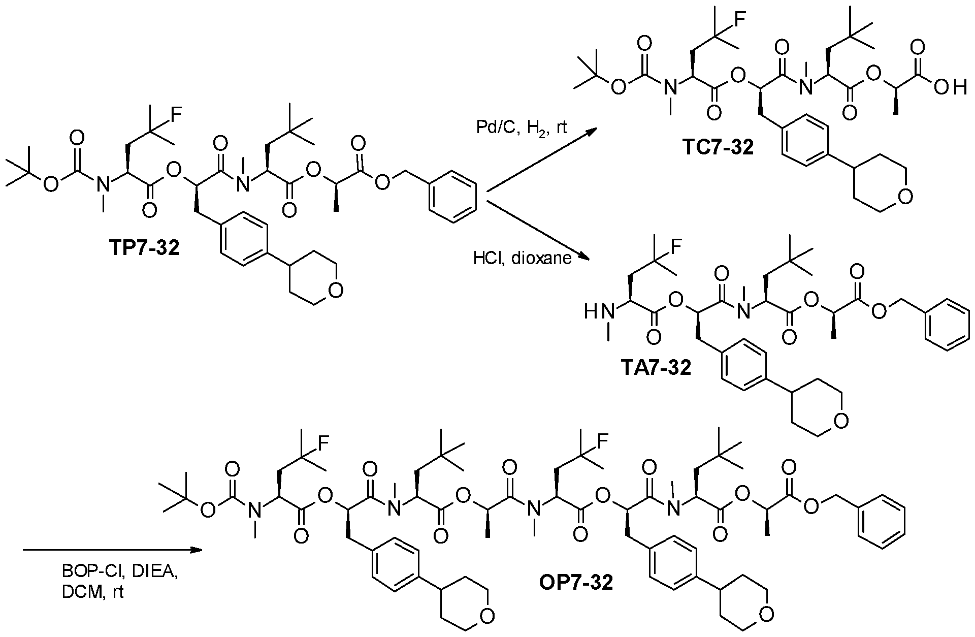 Figure imgf000341_0001