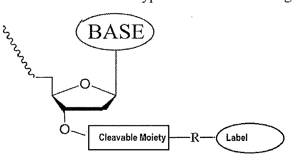 Figure imgf000368_0001