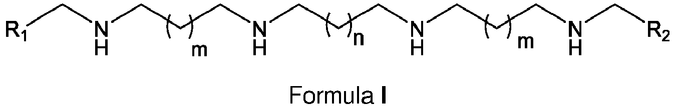 Figure imgb0014