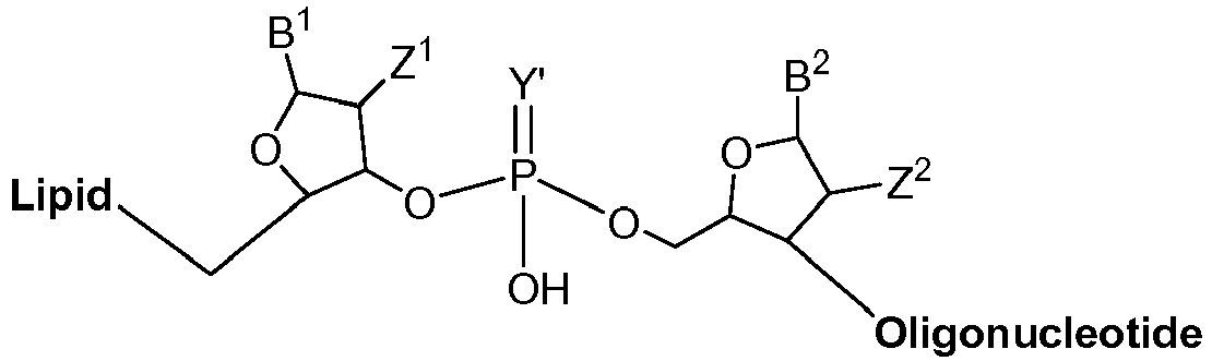Figure imgb0020