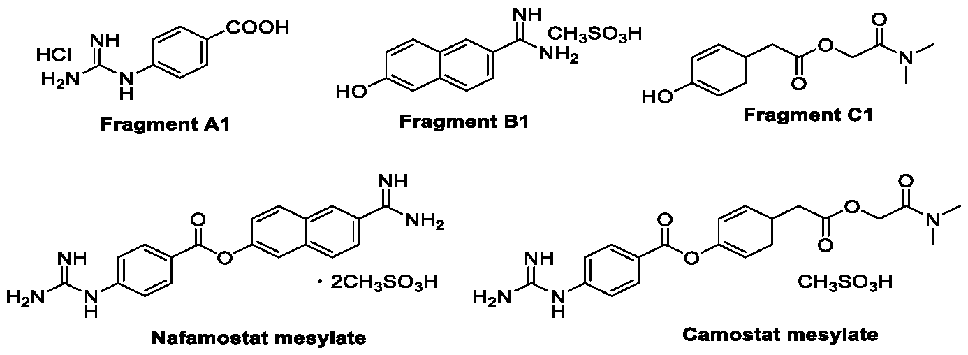 Figure imgf000003_0001
