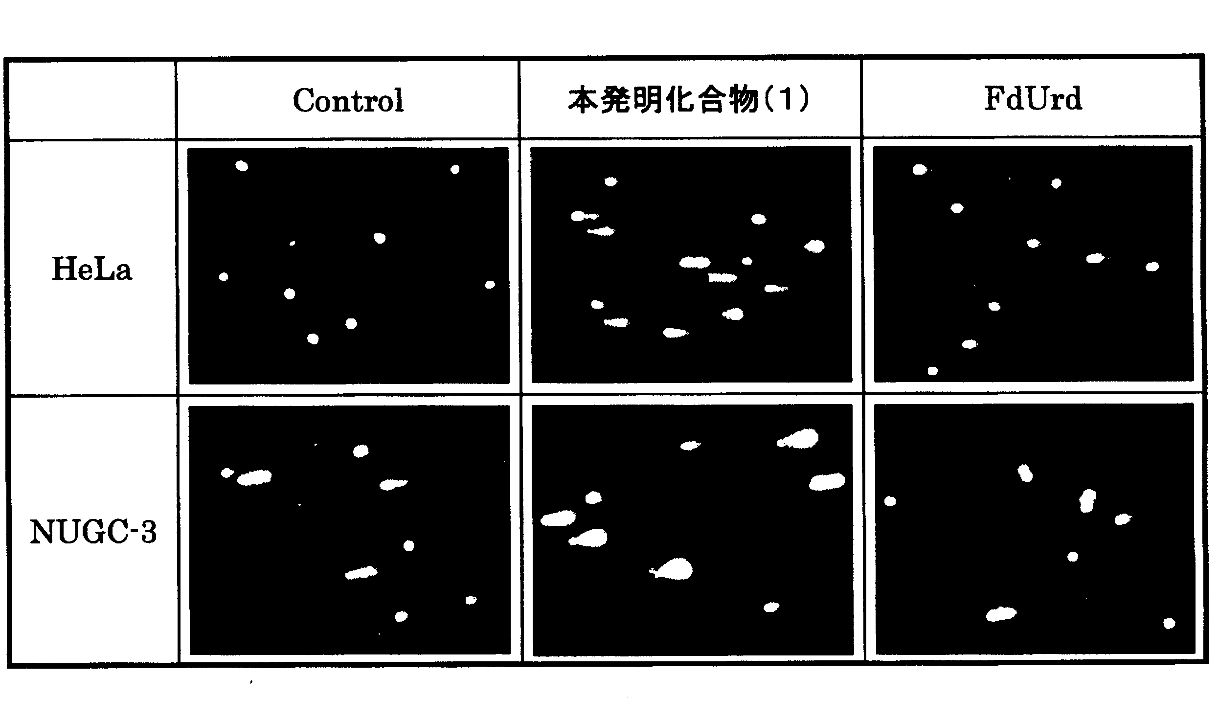 Figure JPOXMLDOC01-appb-T000003