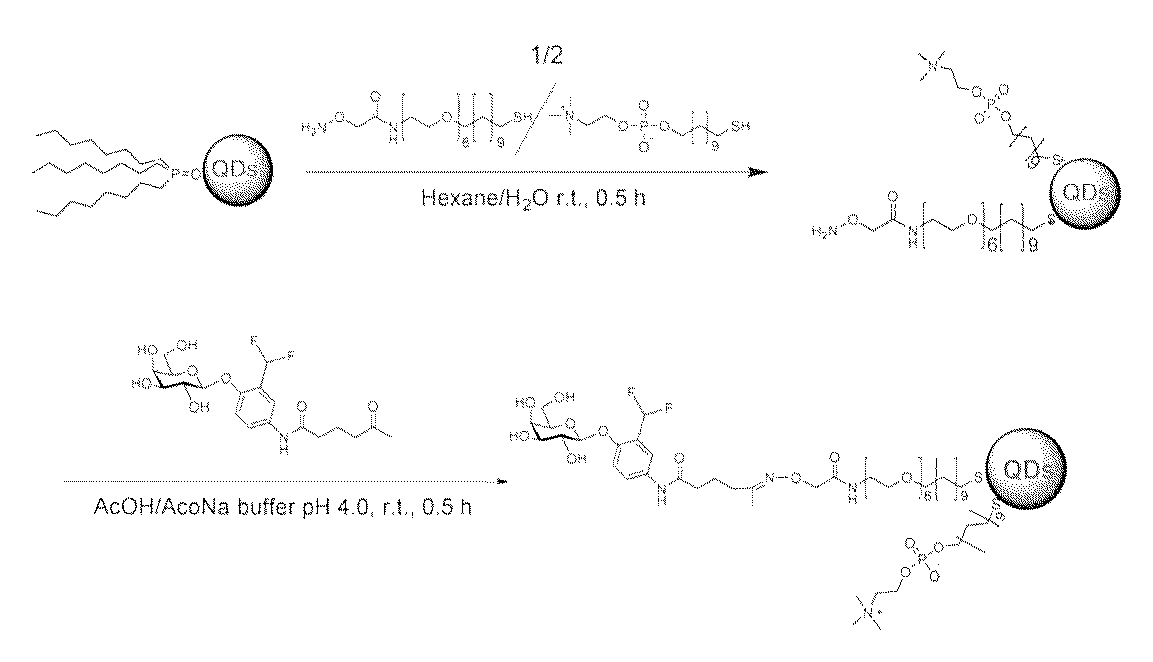 Figure JPOXMLDOC01-appb-C000054