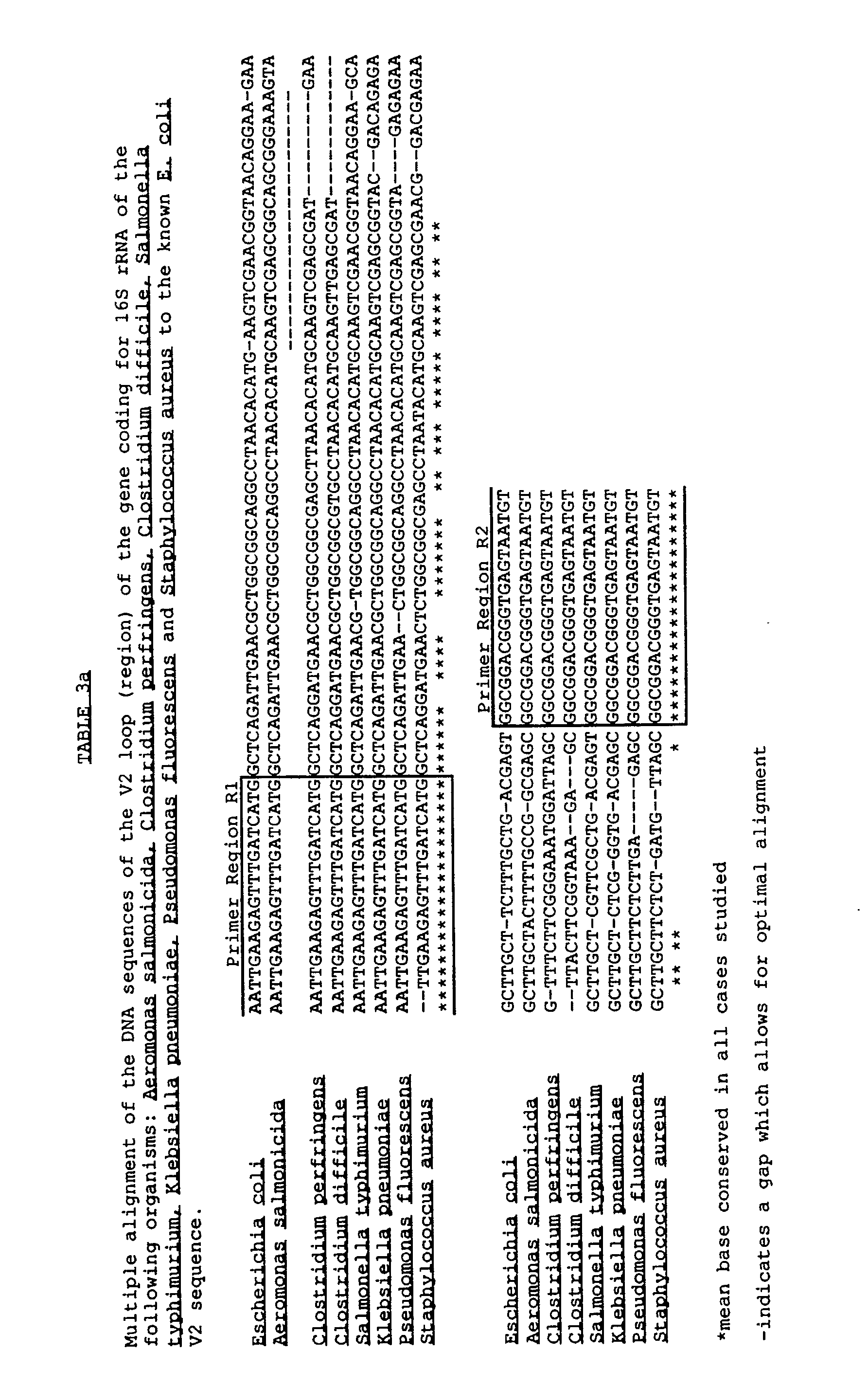 Figure imgb0013